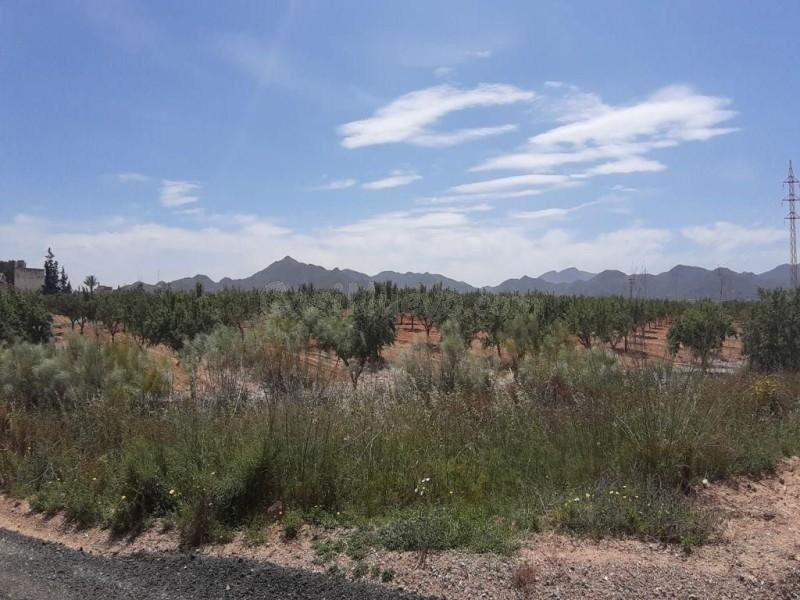Terreno en venta en Pasaje Paganes - foto 3