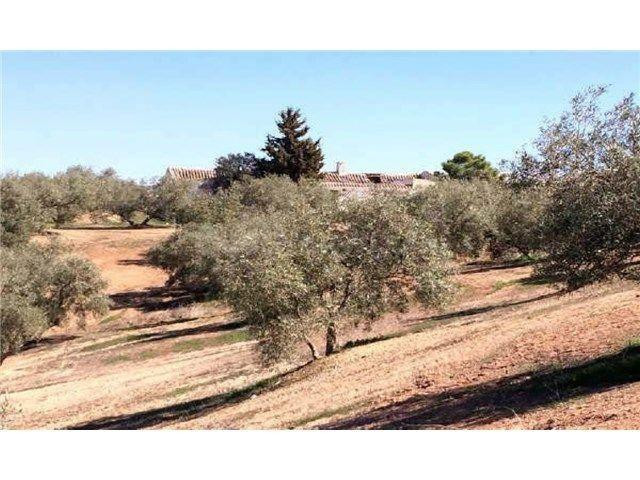 INCREÍBLE FINCA RÚSTICA A LA VENTA!