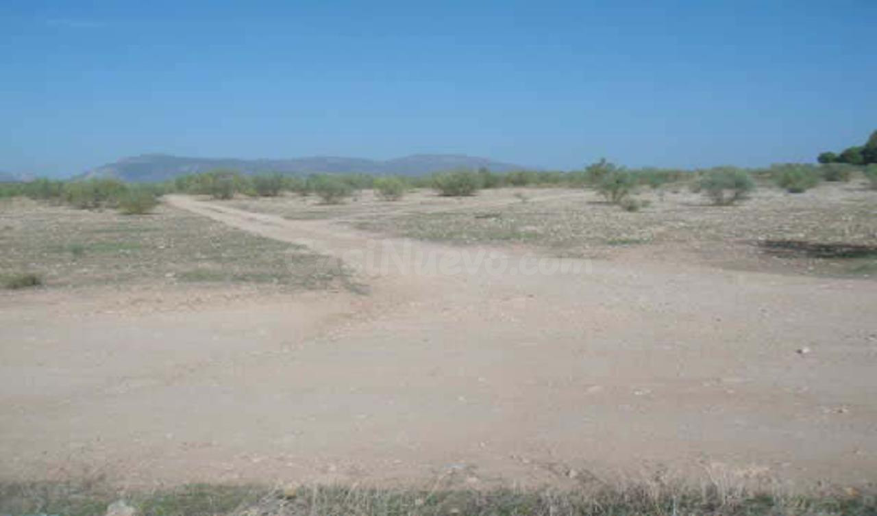 OPORTUNIDAD DE INVERSIÓN EN LOS LLANOS DE SILVA!!