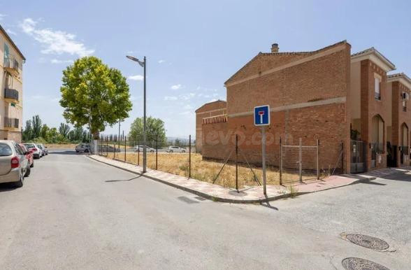 TERRENO DISPONIBLE EN PINOS PUENTE!
