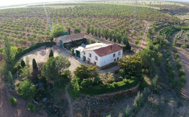 FINCA CORTIJO DE LAS PALOMAS, UN SUEÑO HECHO REALIDAD