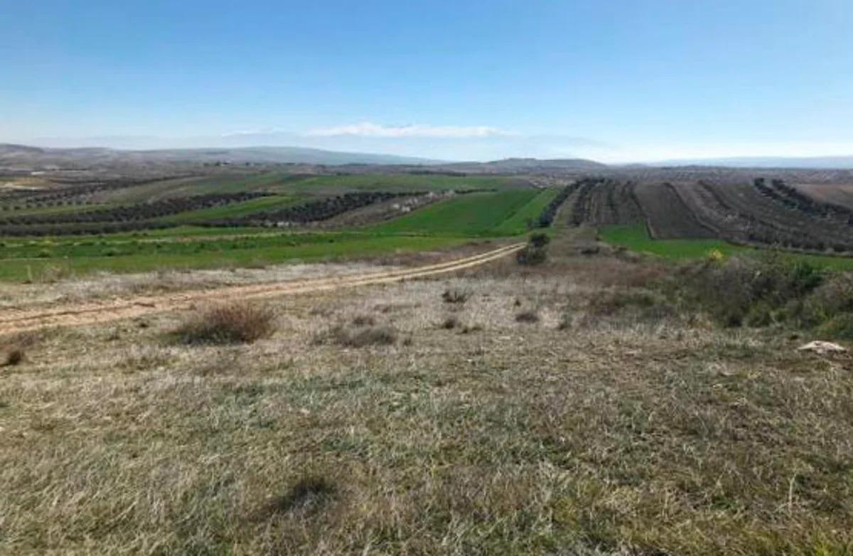 LOTE DE TERRENOS RÚSTICOS EN CHIMENEAS!!