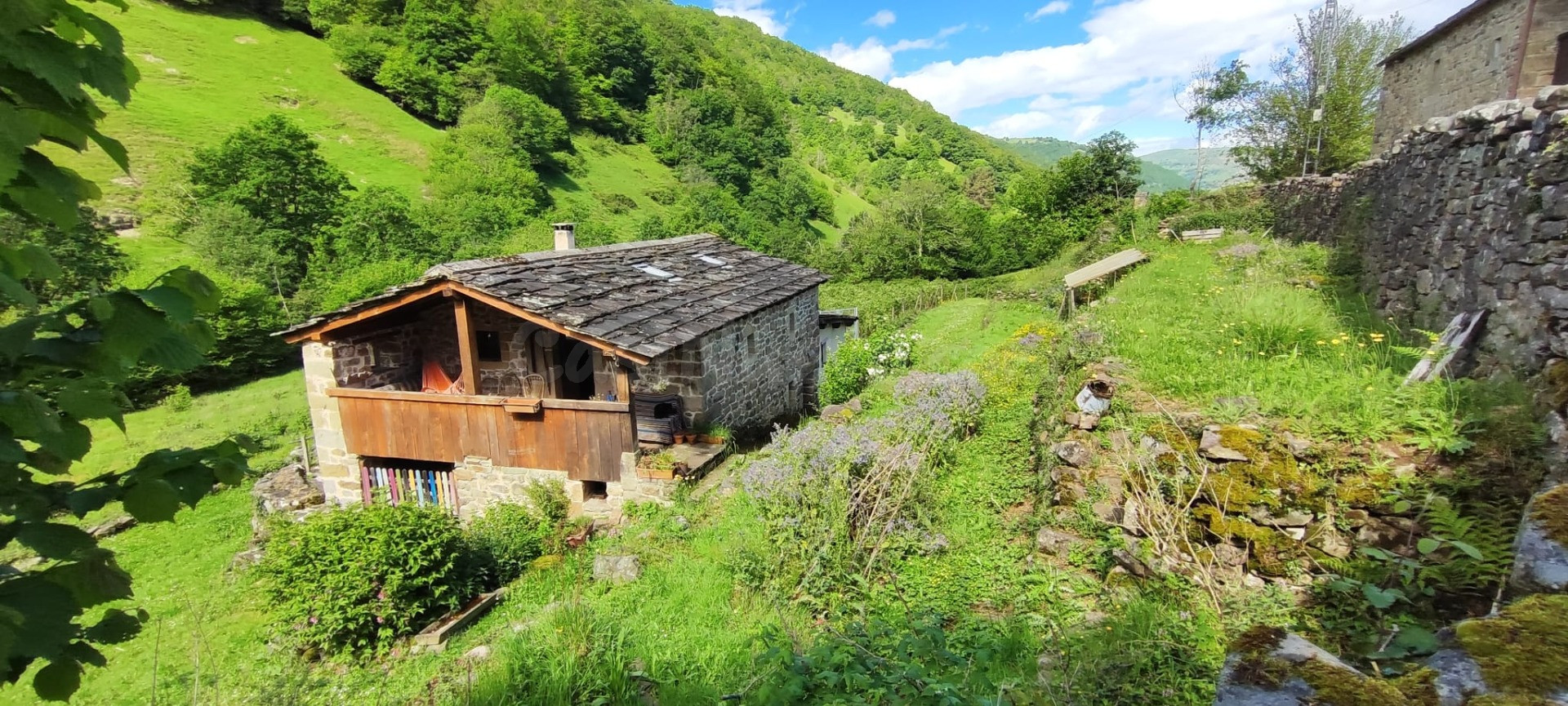 CABAÑA  PASIEGA CON FINCA PRODUCTIVA DE FRUTOS ROJOS EN VEGA DE PAS.-