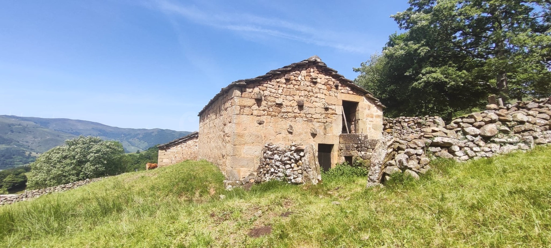 CABAÑA PASIEGA PARA REFORMAR EN ENTORNO PRIVILEGIADO.-