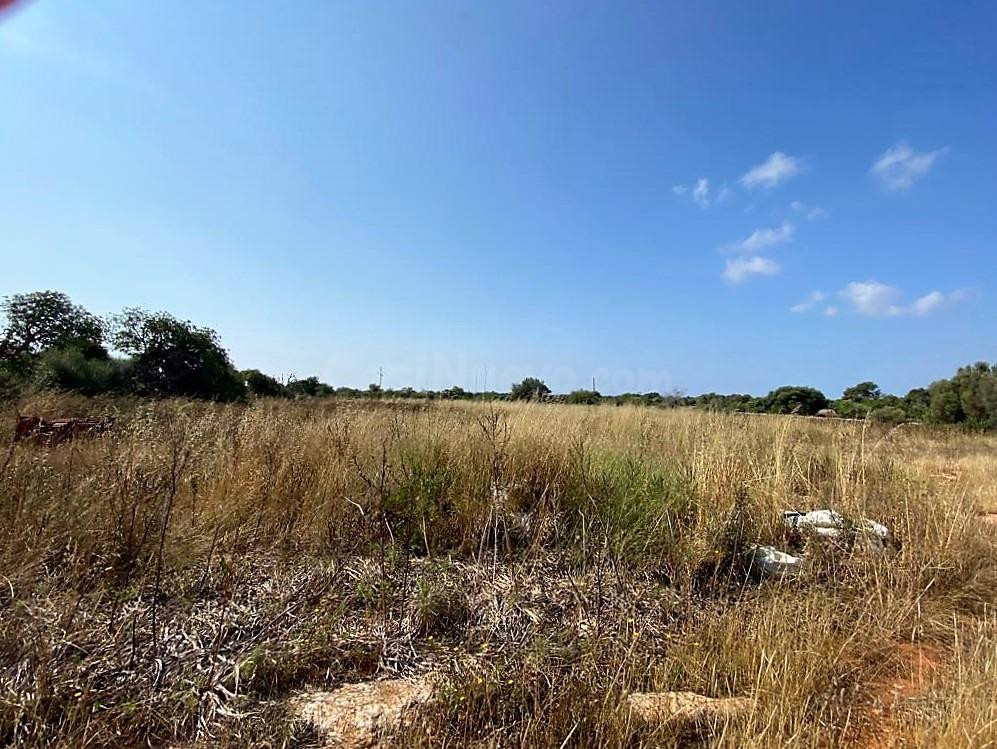Finca rústica en zona de Ses Salines con proyecto de edificación