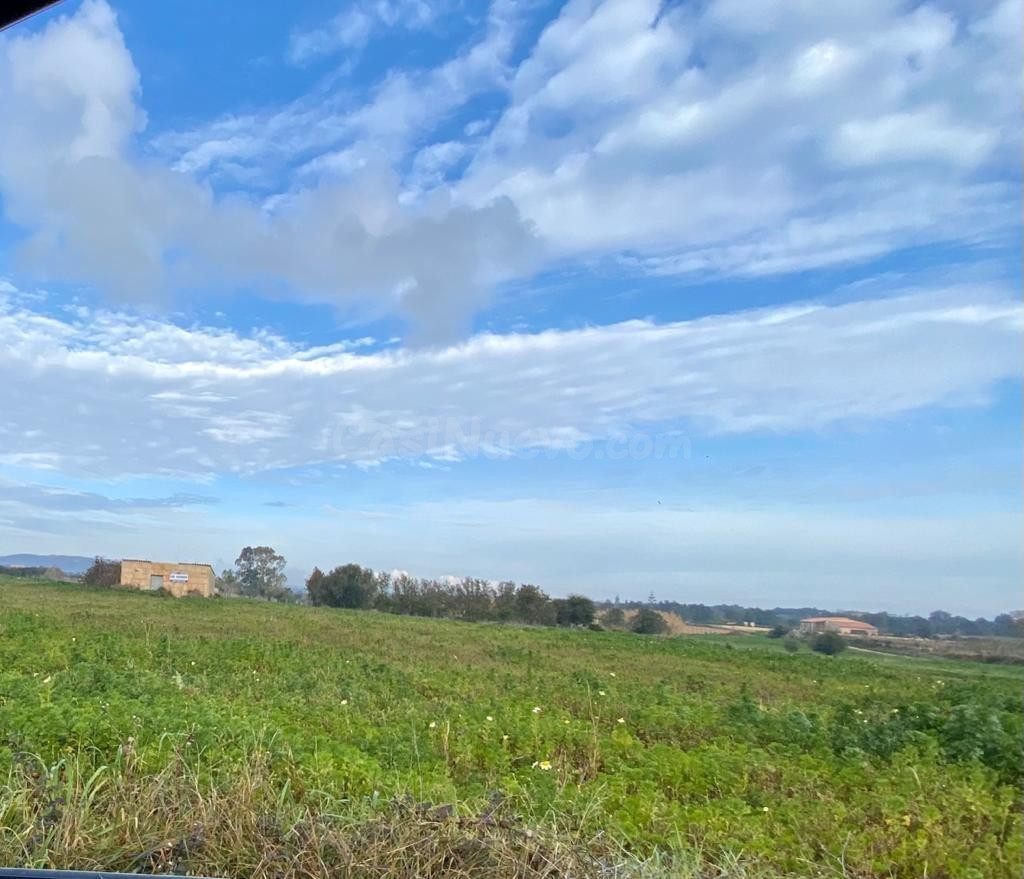 Finca rústica edificable en Manacor