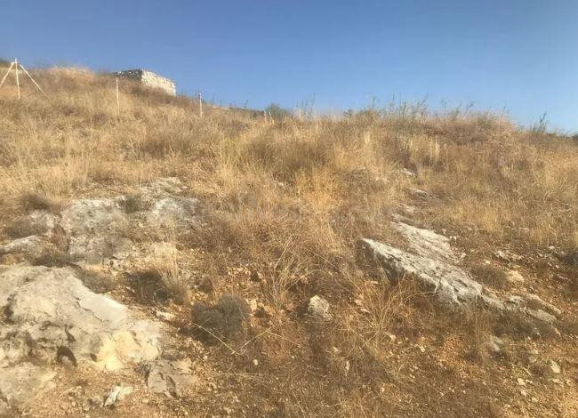 Terreno rural en venta - El Molar