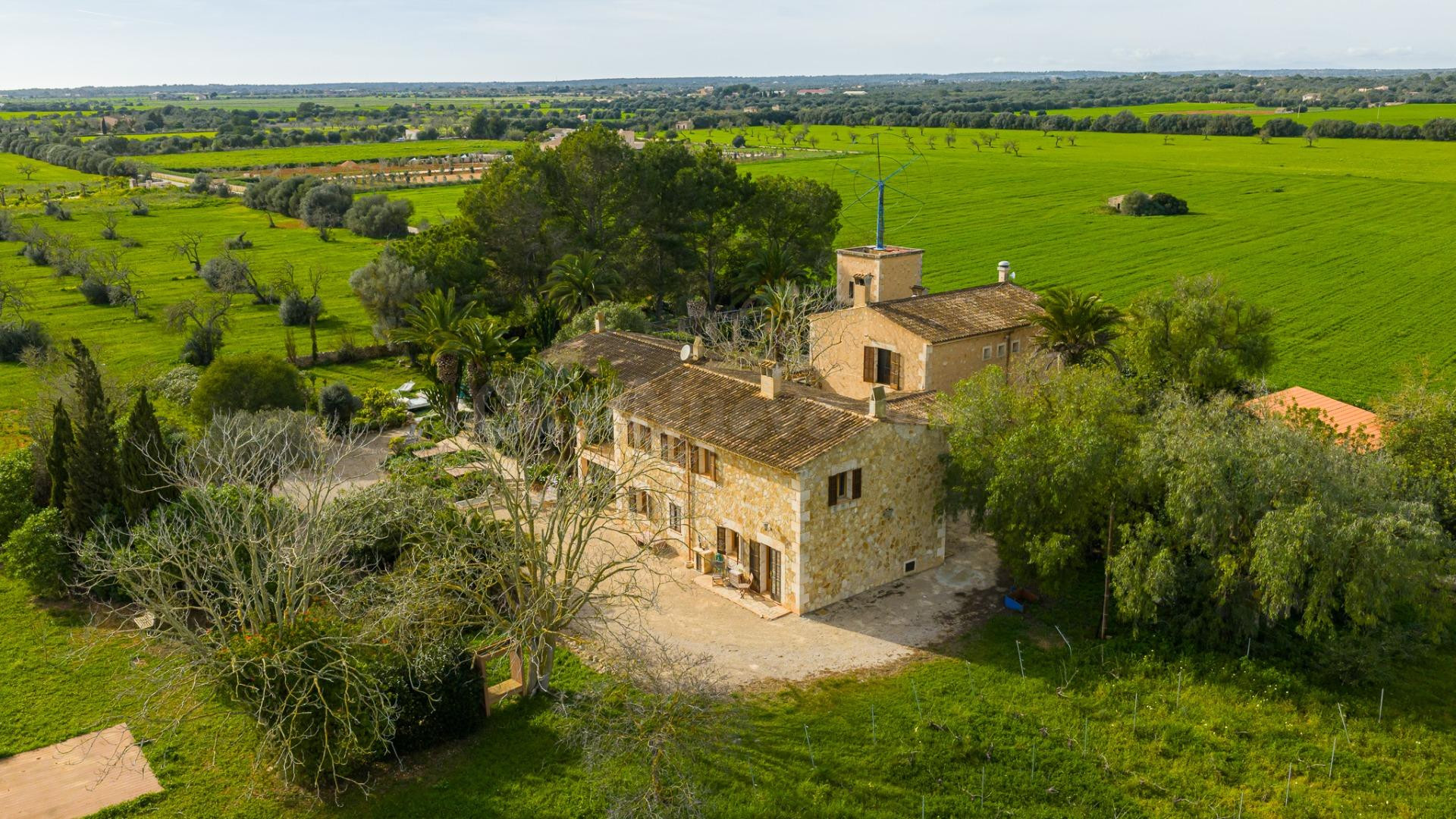 Finca mallorquina con viñedo — a 10 minutos de playa Es Trenc