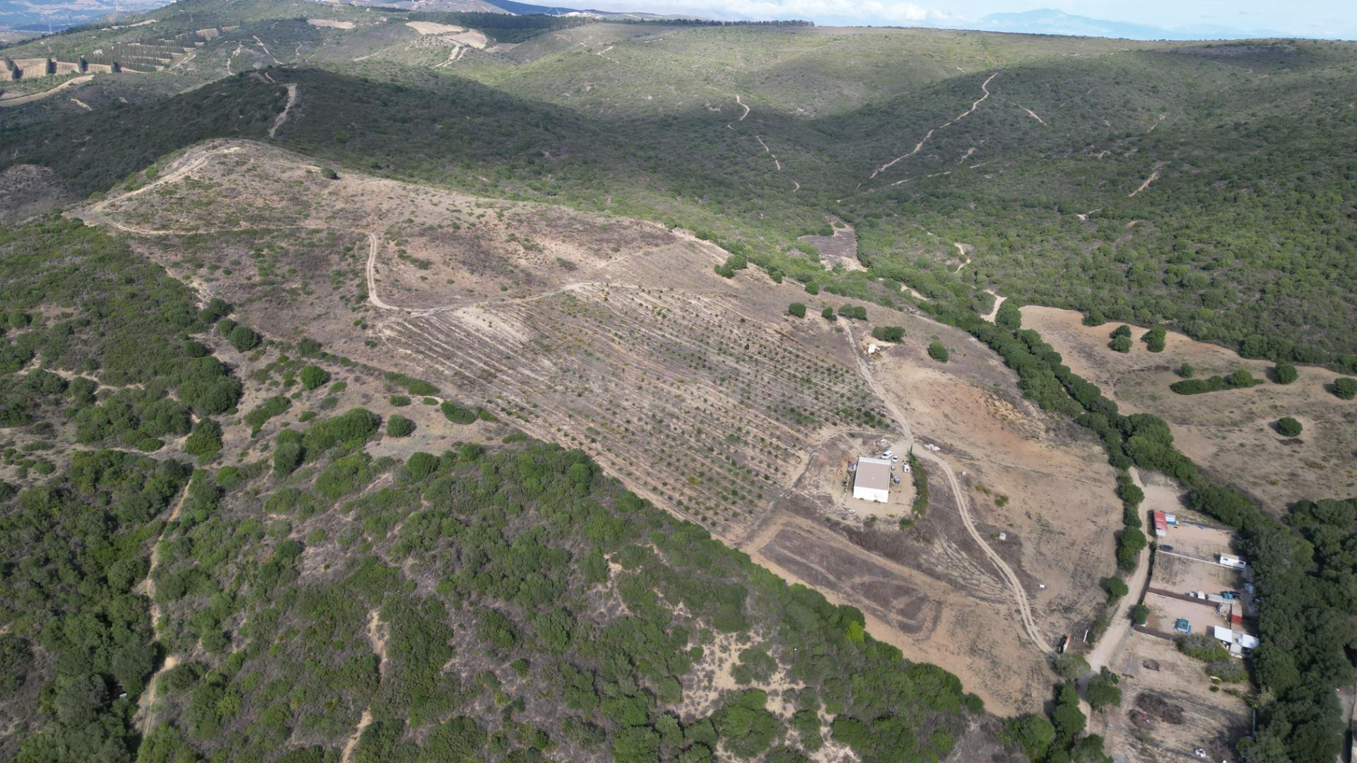 Terreno en HONDA CABADA, MANILVA, MALAGA