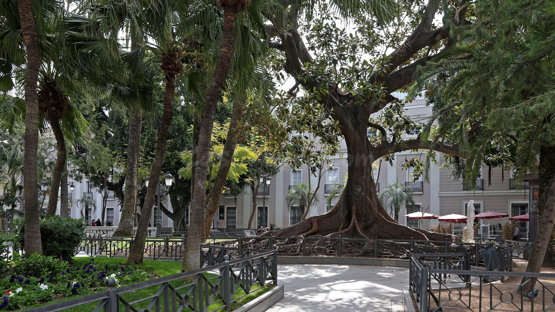¡¡¡ÚLTIMA PLANTA DE ESQUINA JUNTO A LA PLAZA DE ESPAÑA!!!