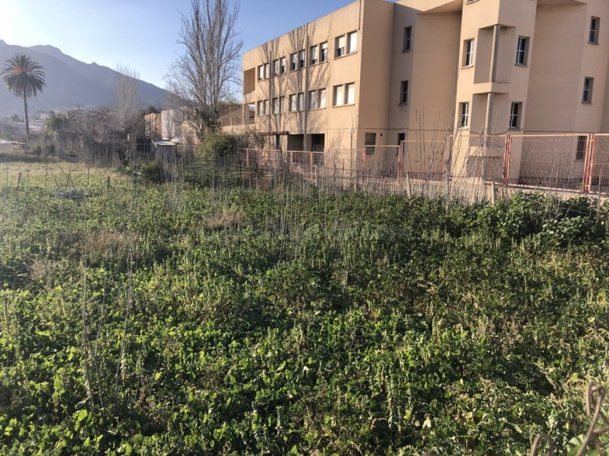 HUERTO URBANIZABLE FRENTE A NUEVA COMISARÍA