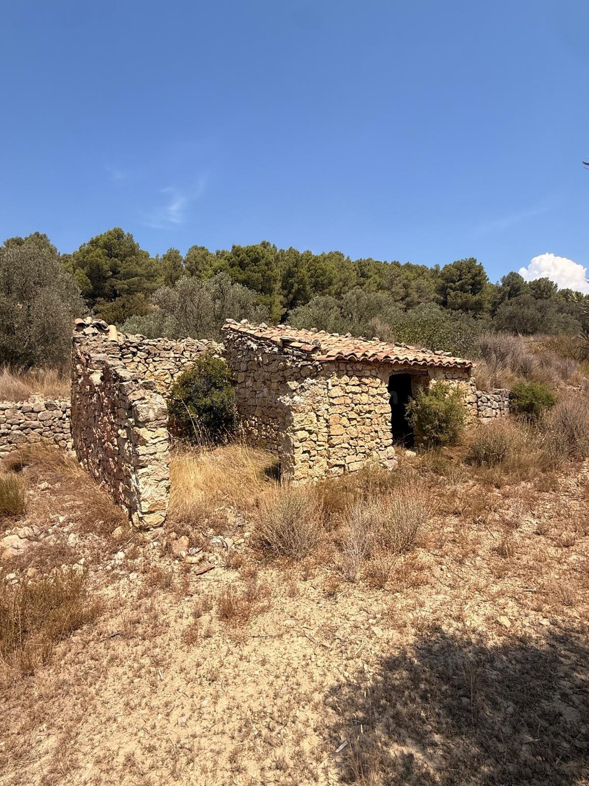 ¡GRAN OPORTUNIDAD: SE VENDE PARCELA CON CASETA DE PIEDRA Y OLIVOS!