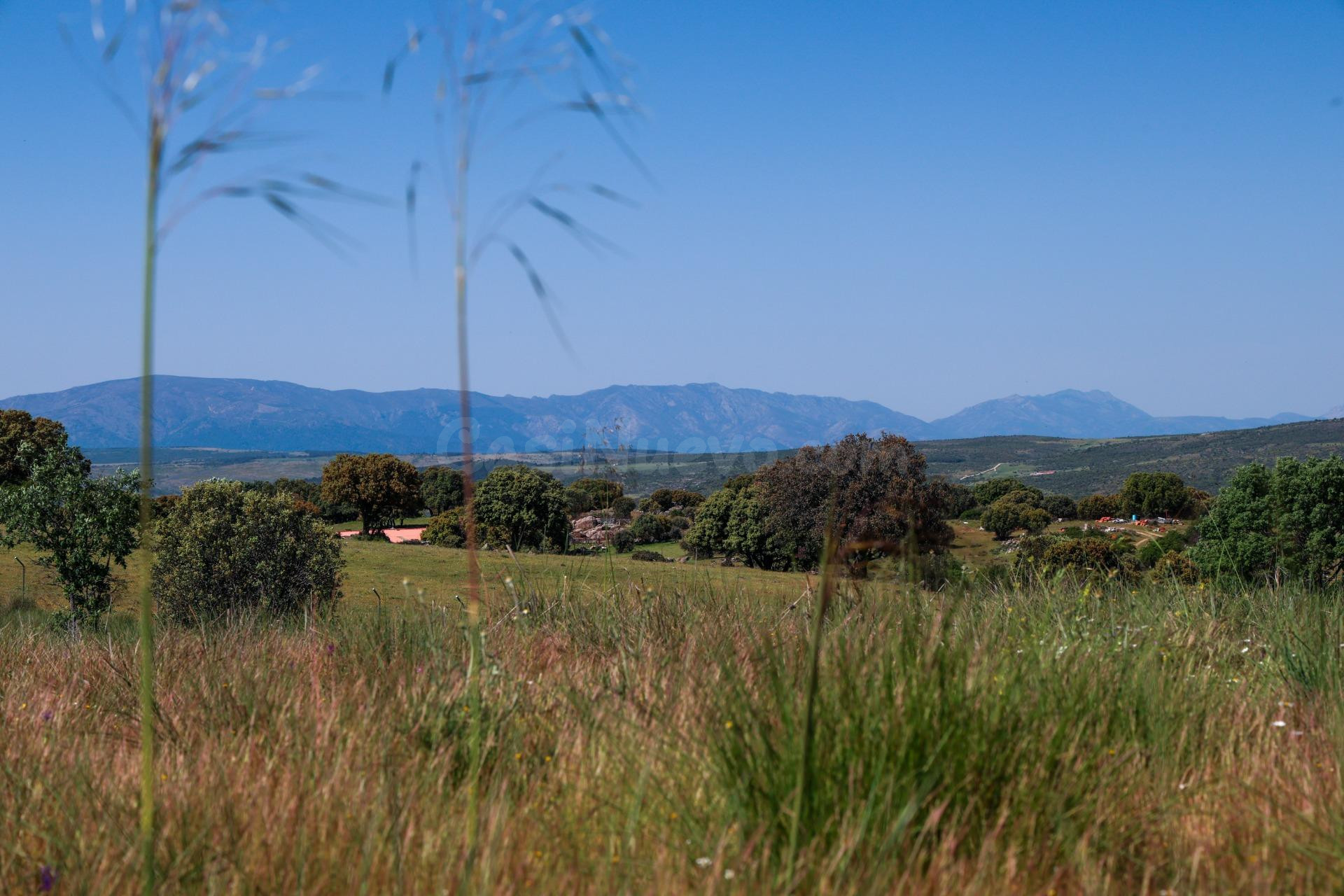 Terreno en venta en CL-505 12 D, Navalperal de Pinares - foto 2