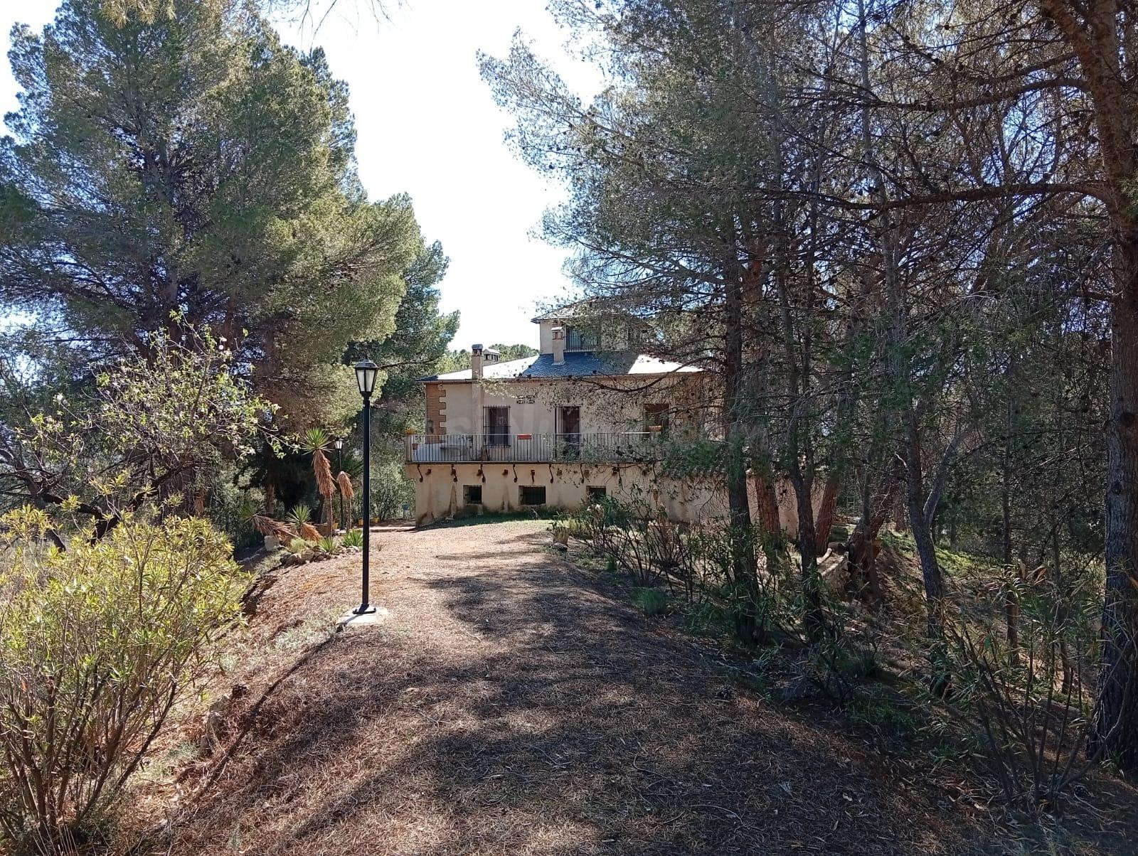 VENTA FINCA RUSTICA CON CASA EN ONIL--ZONA "EL TORMO"