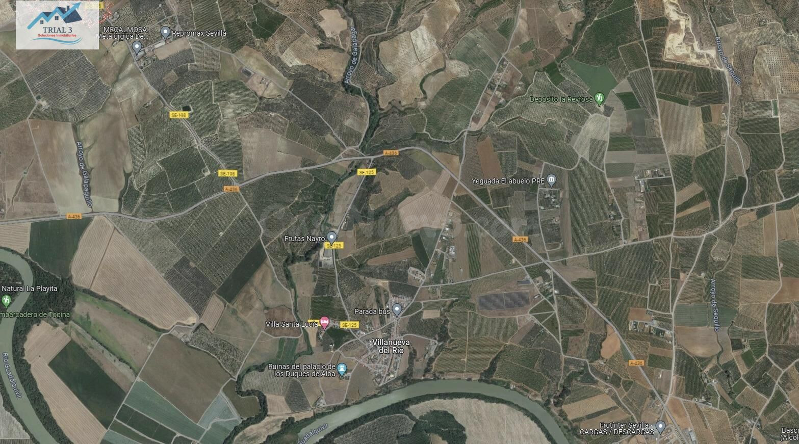 Venta 5 parcelas rústicas en Villanueva del Rio y Minas (Sevilla)