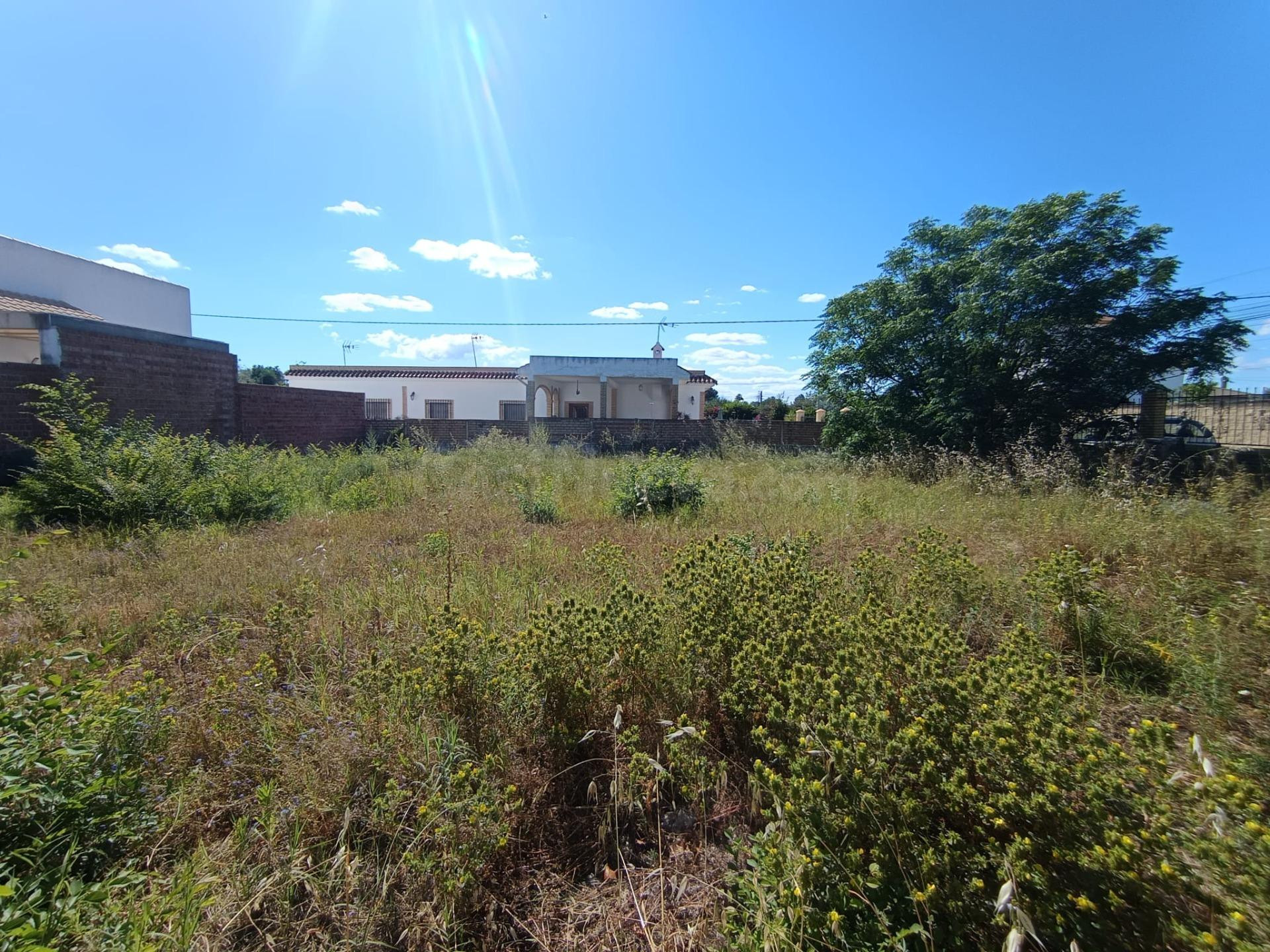 Terreno urbano en venta en Palomares del Río.