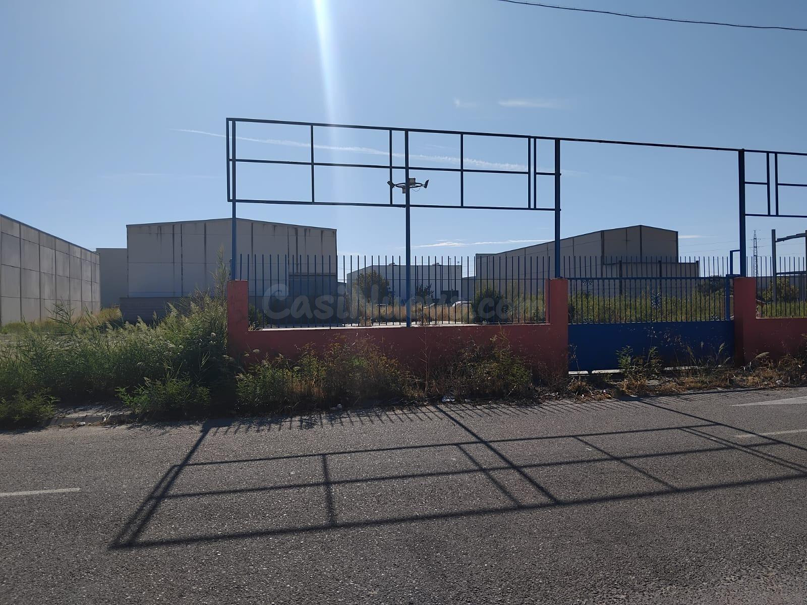 MAGNÍFICO TERRENO URBANO EN VENTA EN POLIG. EL LIMÓN (PALOMARES DEL RÍO)