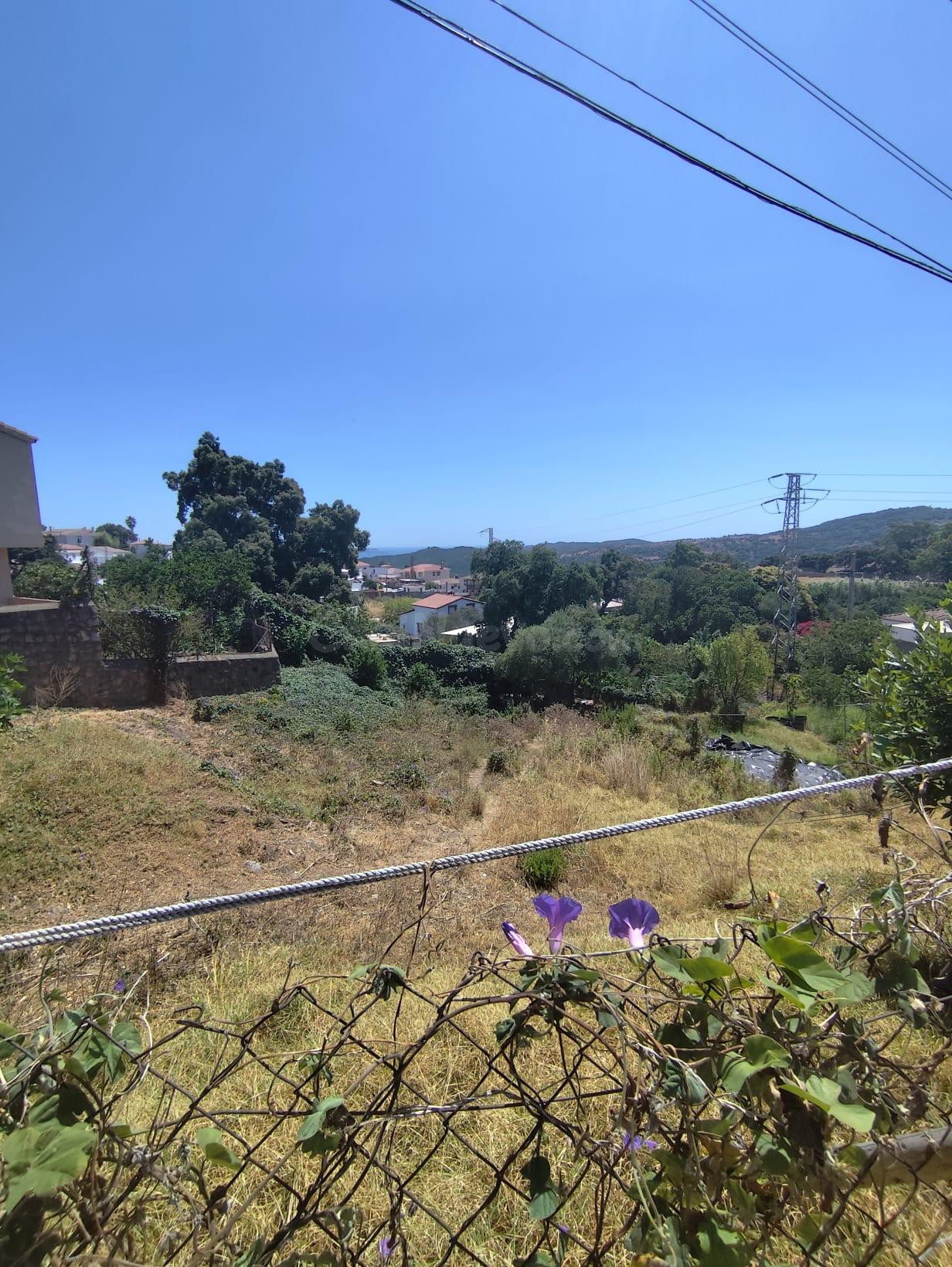 Parcela urbanizable de 1.200 m2 en Pelayo, Algeciras