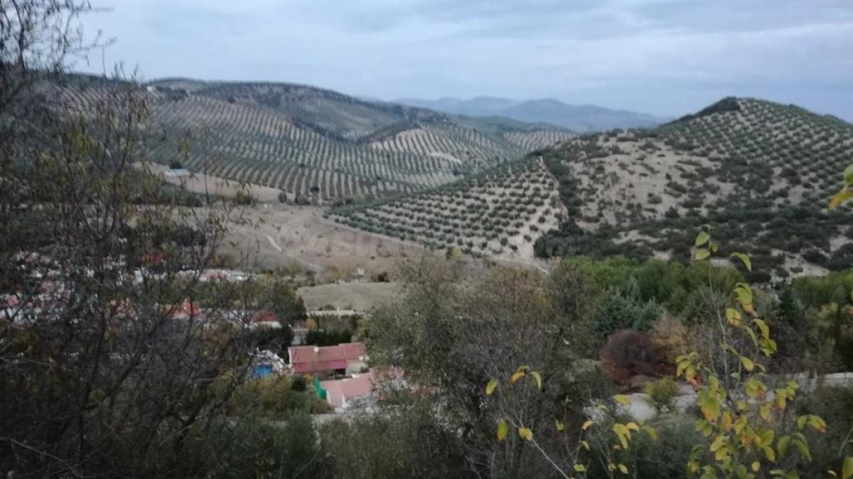 SOLARES EN VENTA EN URB. MONTESOL - PUERTO LOPE (GRANADA)