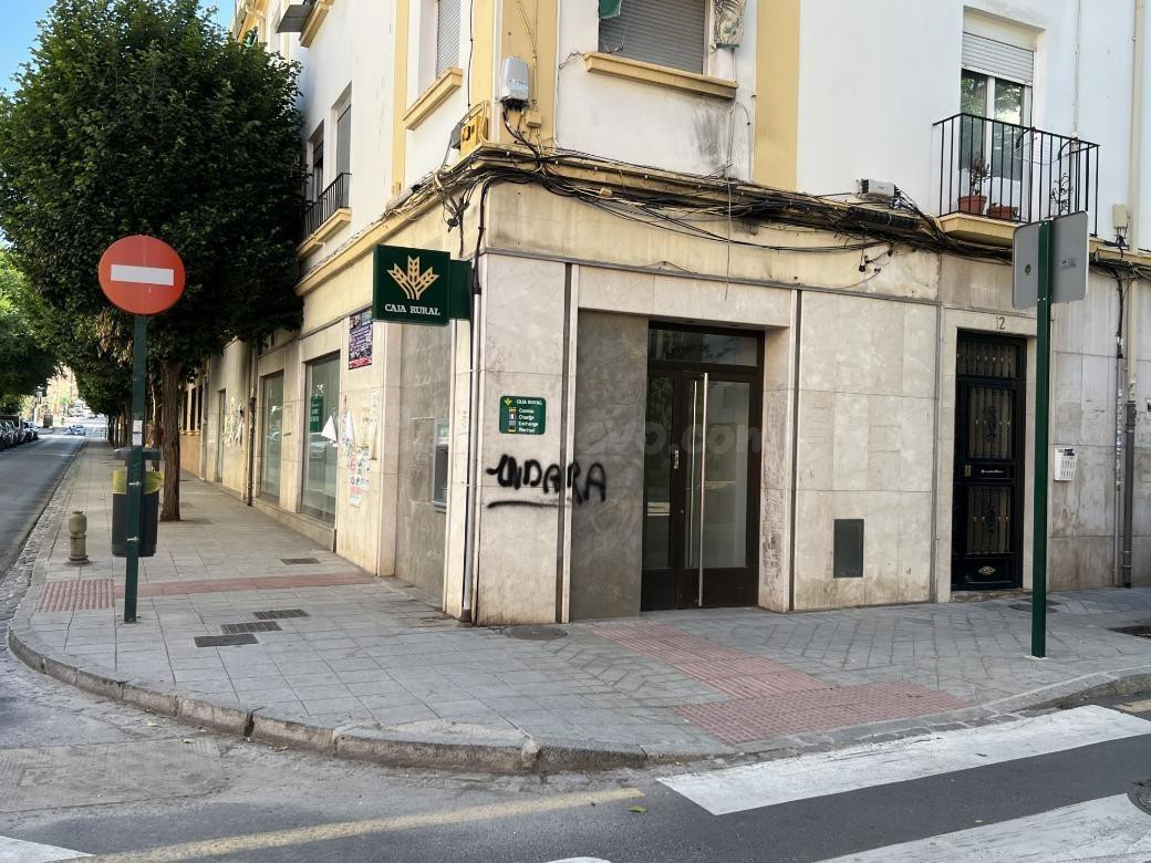 LOCAL COMERCIAL EN LA CHANA VENTA O ALQUILER
