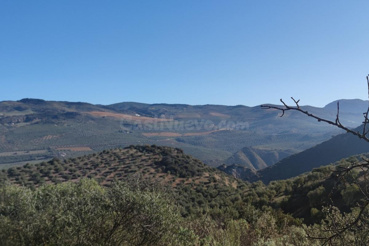 CORTIJO DE LA MORA EN LOJA