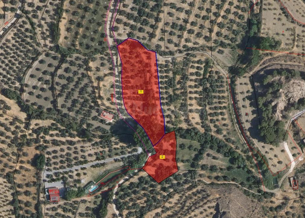TERRENO RUSTICO A LA VENTA EN MARCHAL (GRANADA)