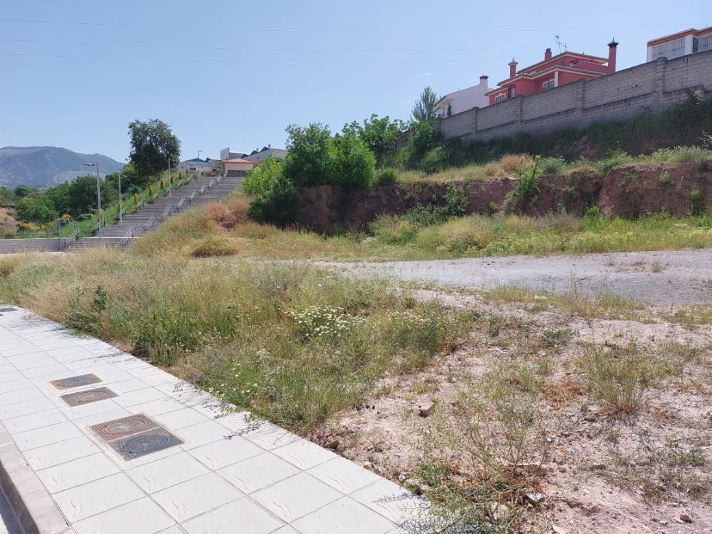 SOLAR A LA VENTA EN JUN (GRANADA)