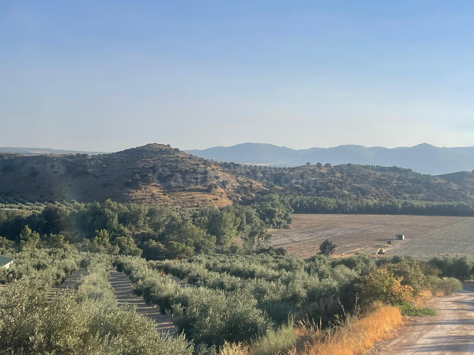 Finca Agrícola en venta - Bracana