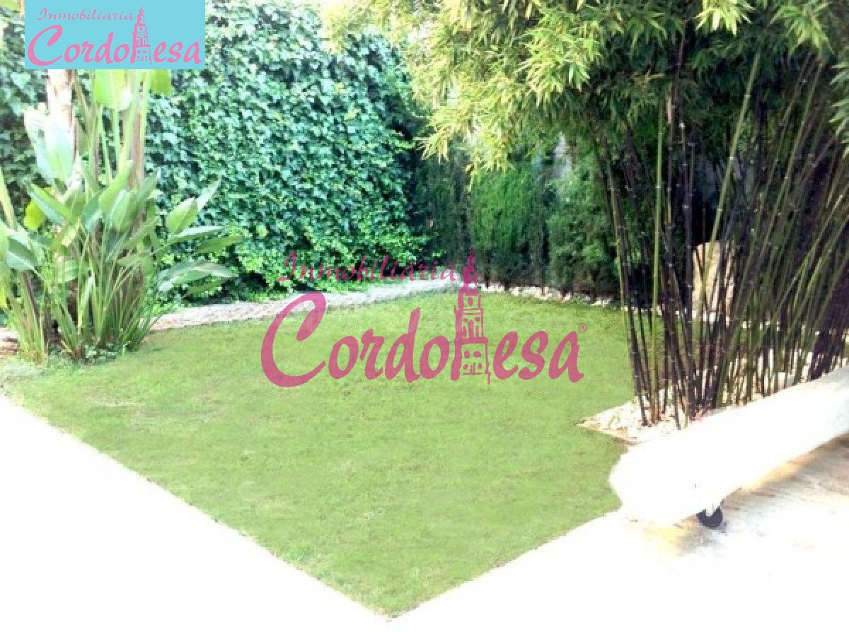 Casa 2 habitaciones 237m² en venta - Centro