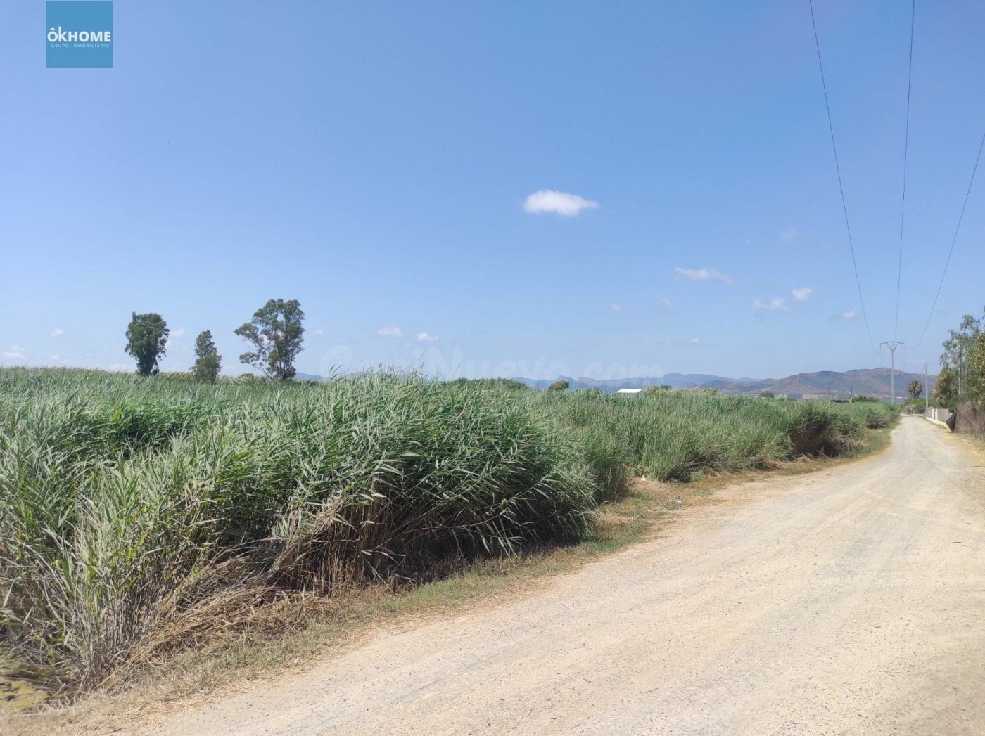 Terreno Rústico 11000m² en venta - Playa almarda