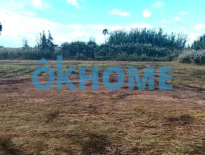 Solar Industrial de 1.861 m2 en Puzol