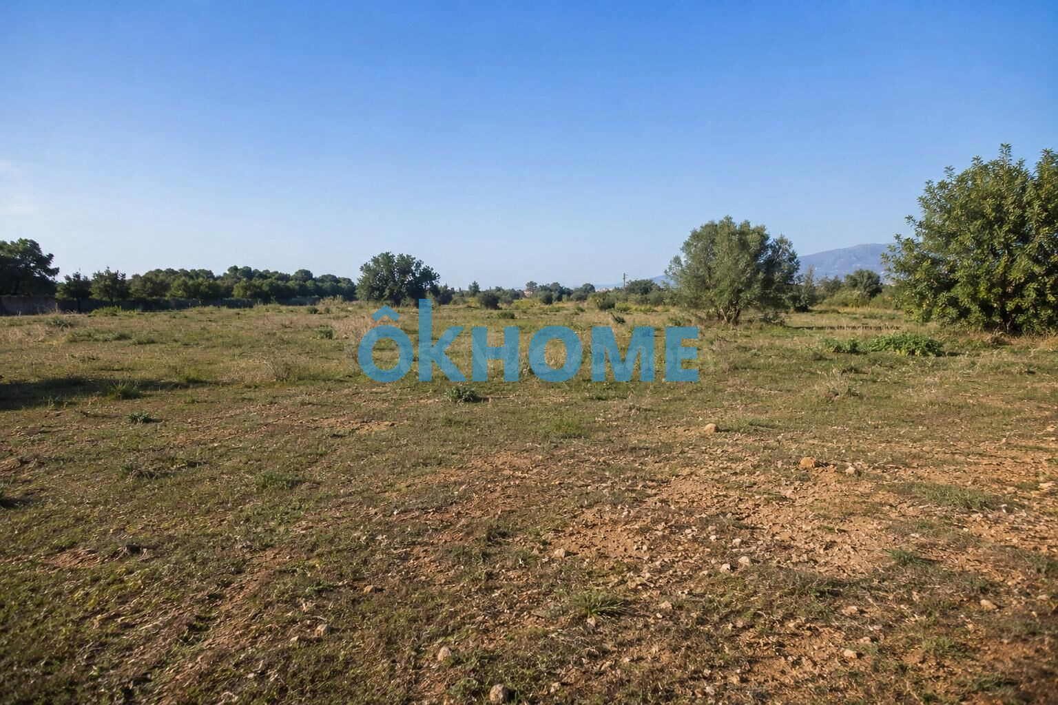 Terreno Rustico en venta en Casco Antiguo