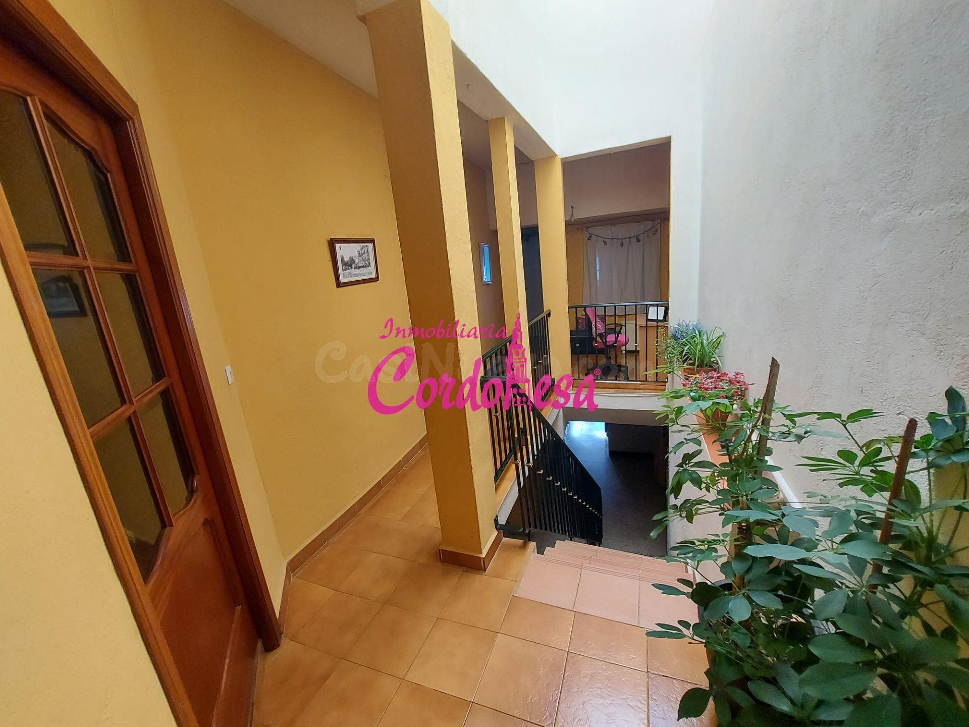 MAGNIFICA VIVIENDA DE 2 PLANTAS + AZOTEA EN ZONA EL POTRO/ SAN PEDRO, CON GARAJE OPCIONAL