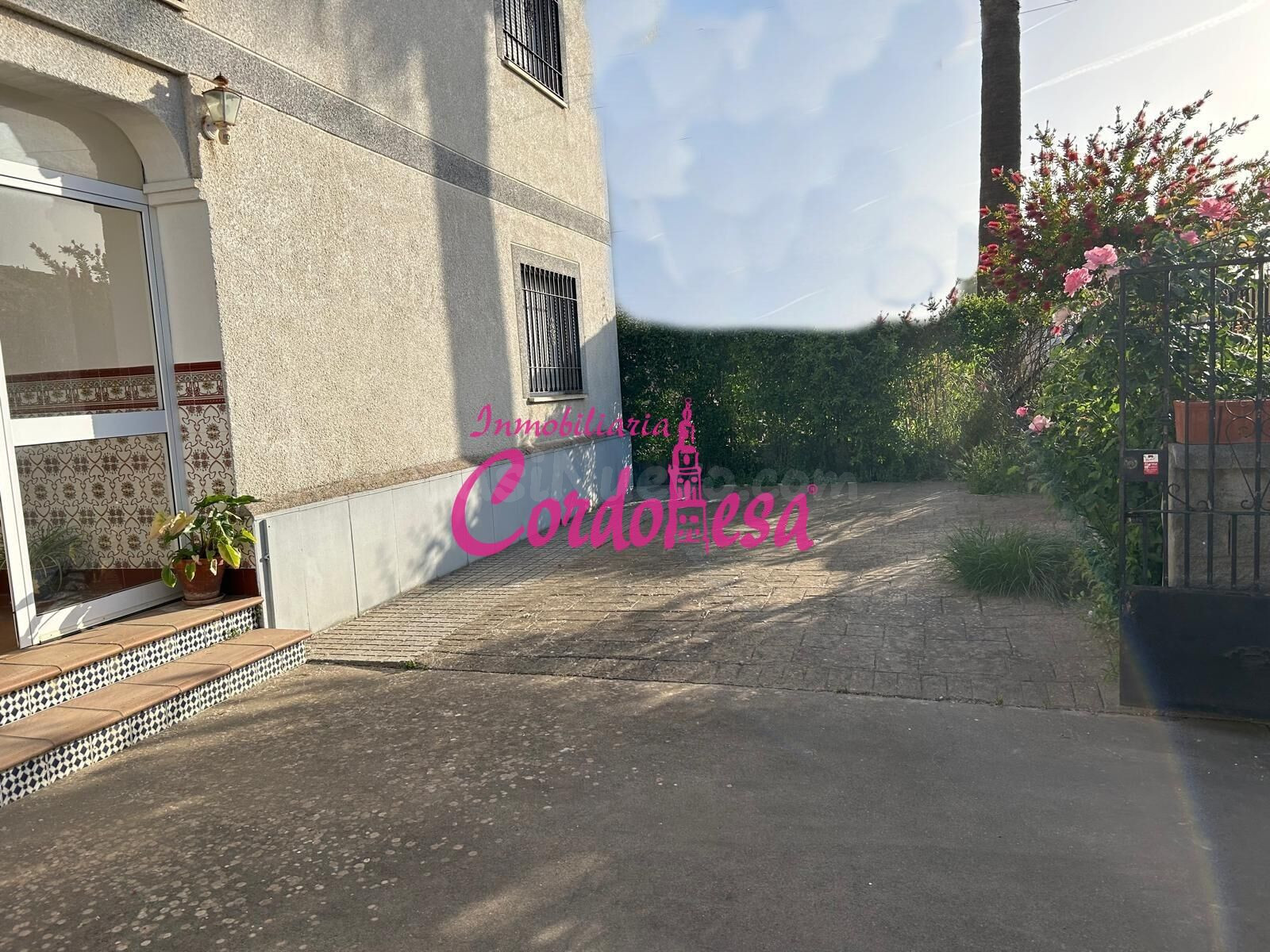 MAGNIFICA CHALET INDEPENDIENTE EN ALCOLEA, CON ZONA DE JARDIN Y ARBOLES FRUTALES!!!