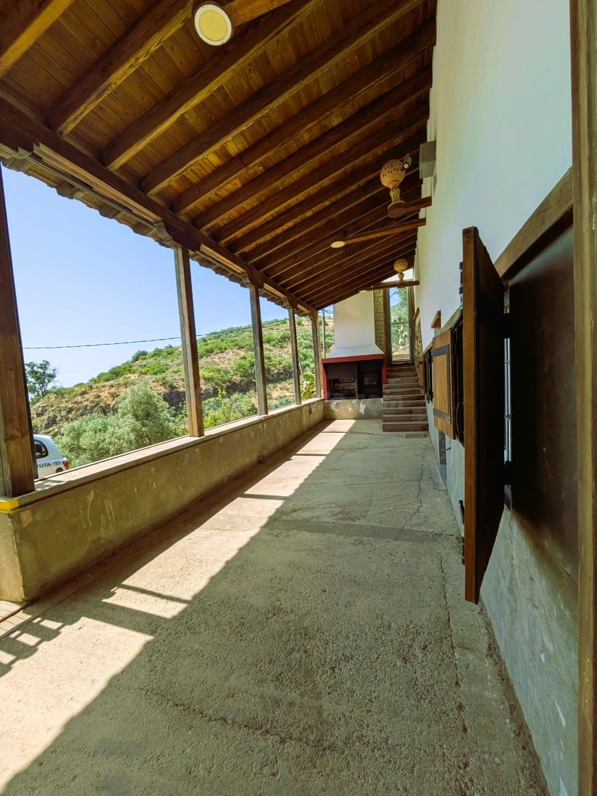 FINCA EN VENTA EN TELDE