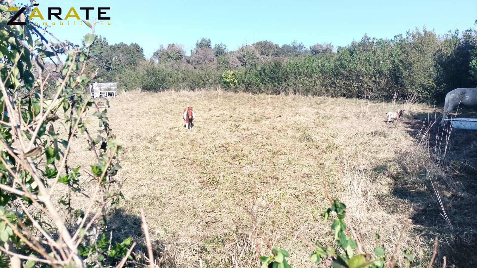 SE VENDE PARCELA EDIFICABLE EN CASTRO