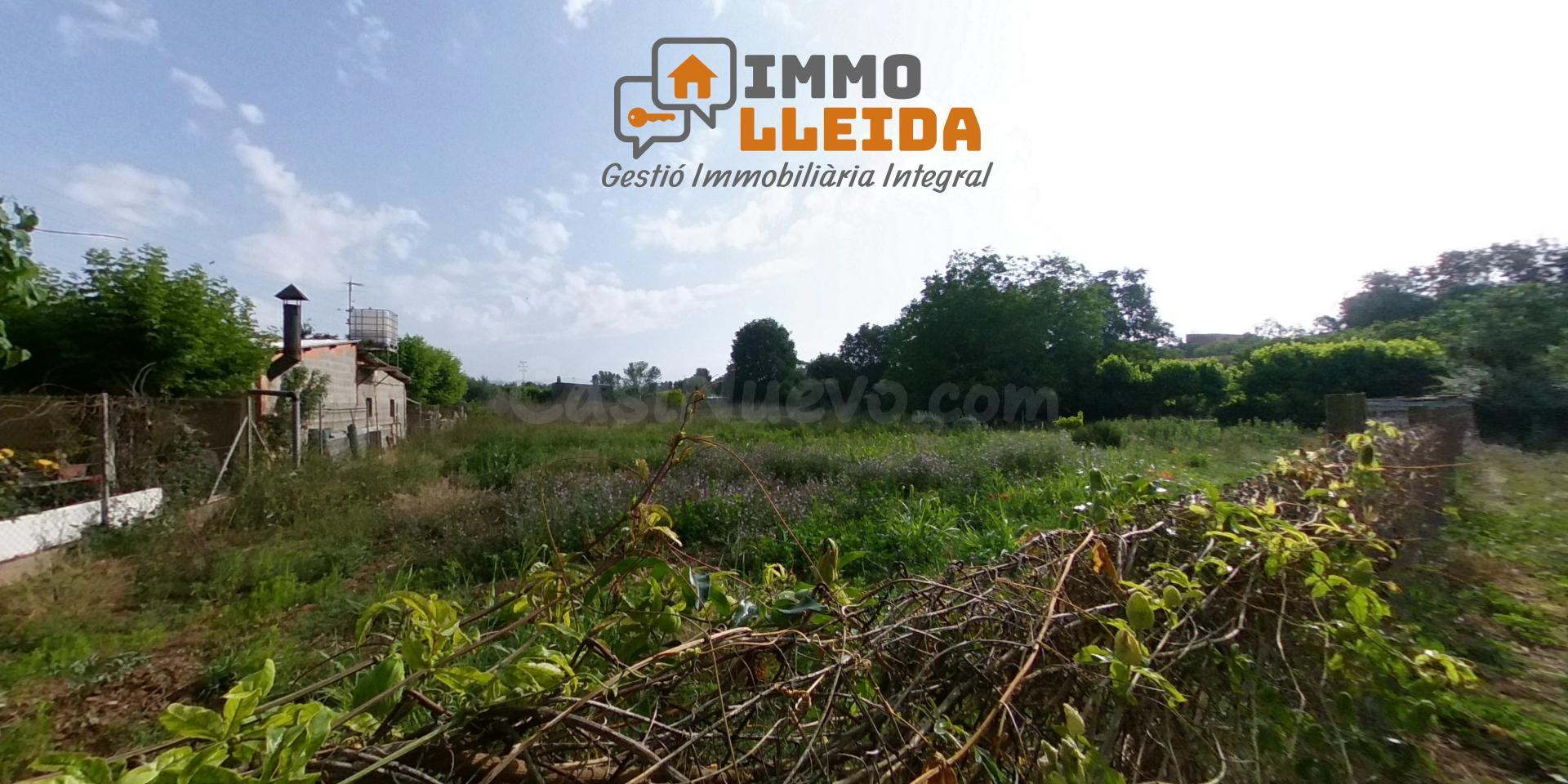 Oportunidad!! Terreno de regadío justo al lado de Balaguer!!