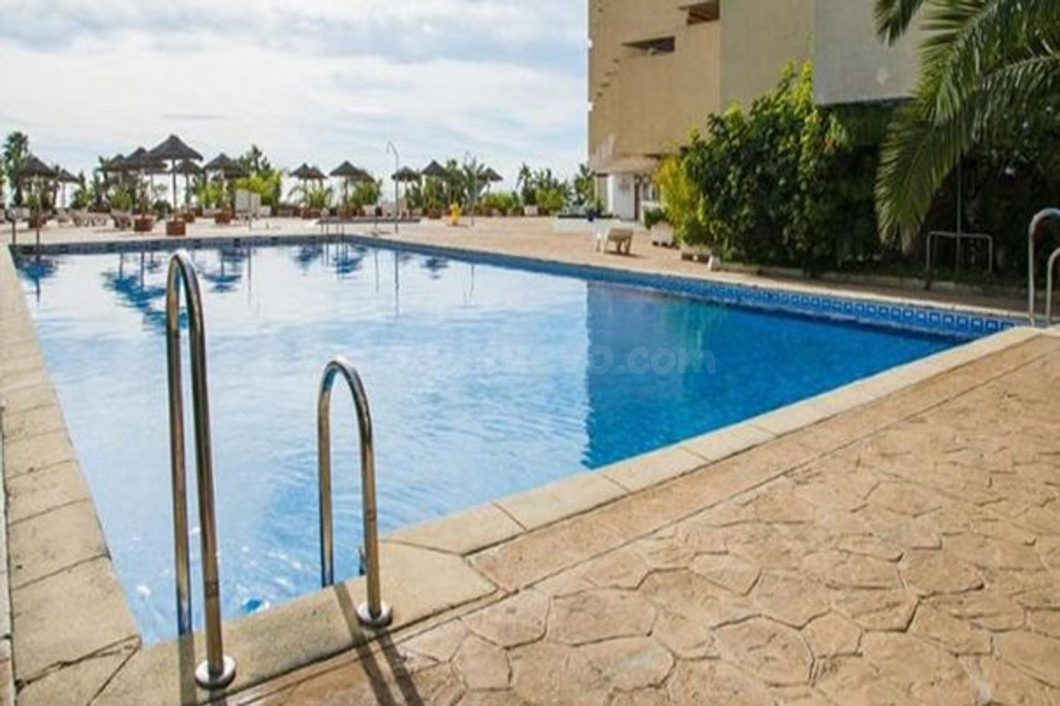 Piso 1 habitación 46m² en alquiler - Almuñecar Centro - foto 5