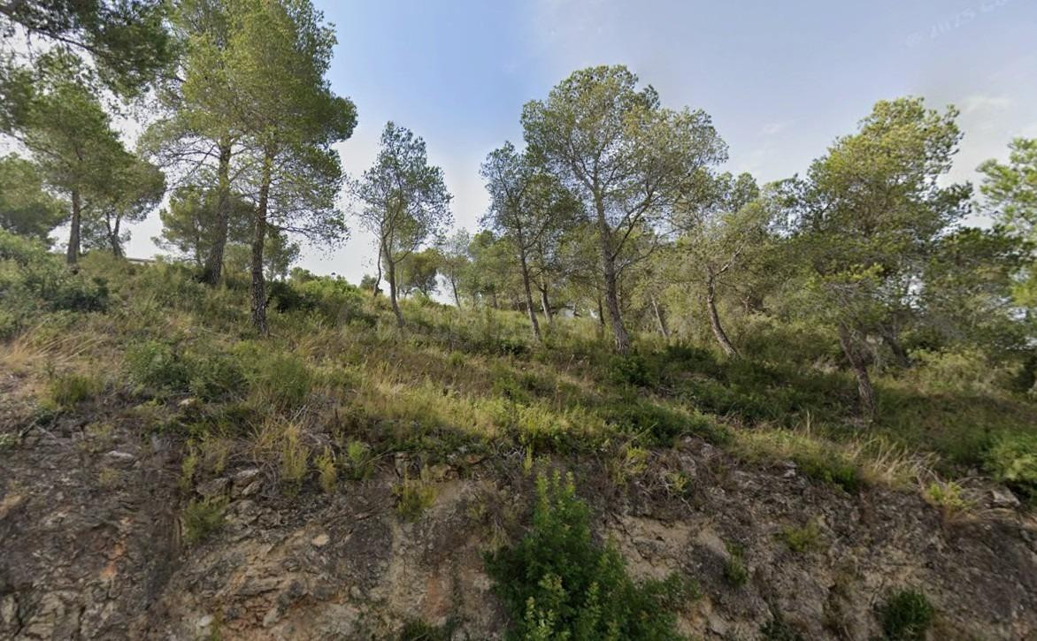 Se vende parcela urbana de 644 m2 en la urbanización Miralba