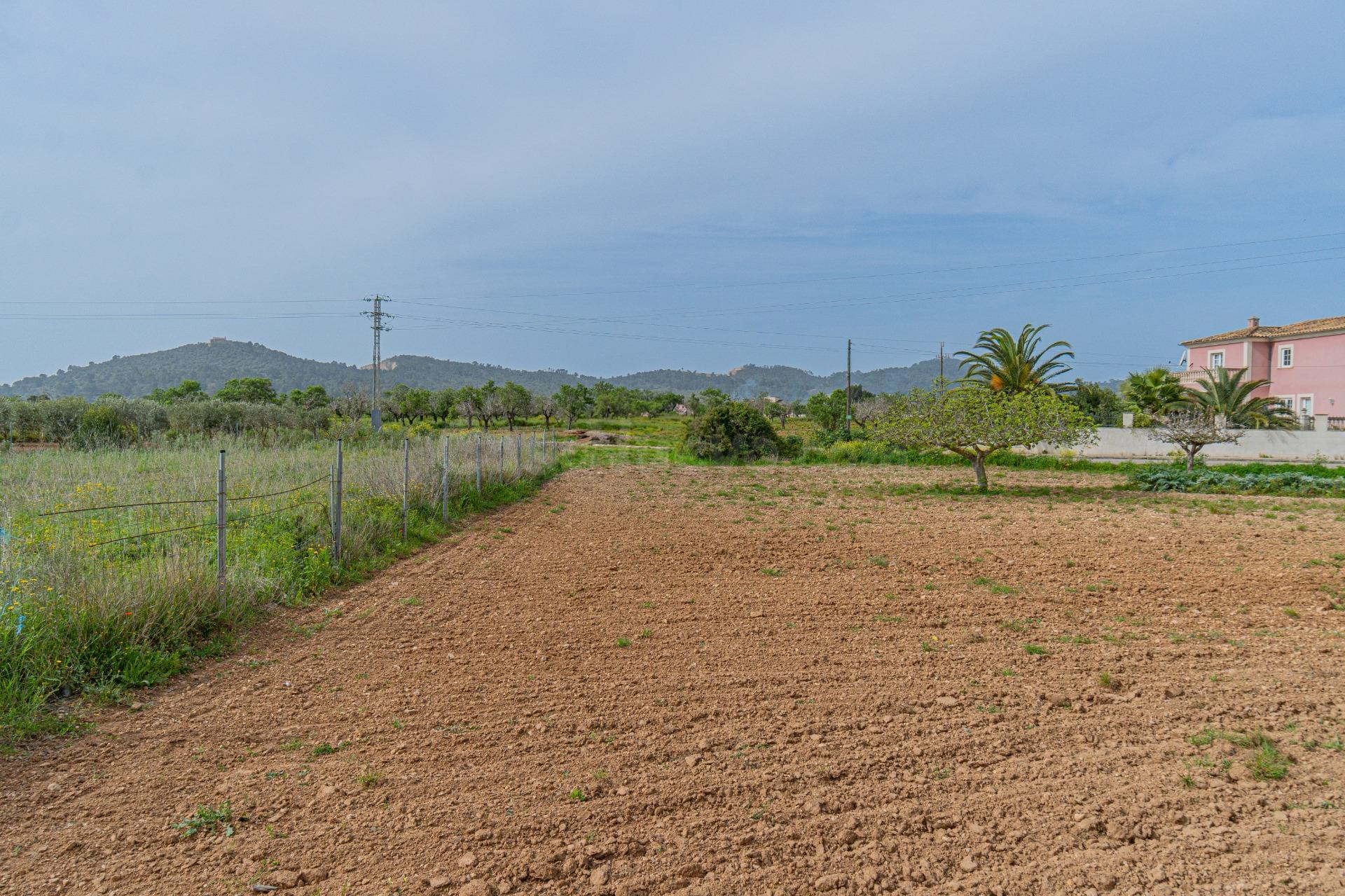 Solar urbano en Porreres