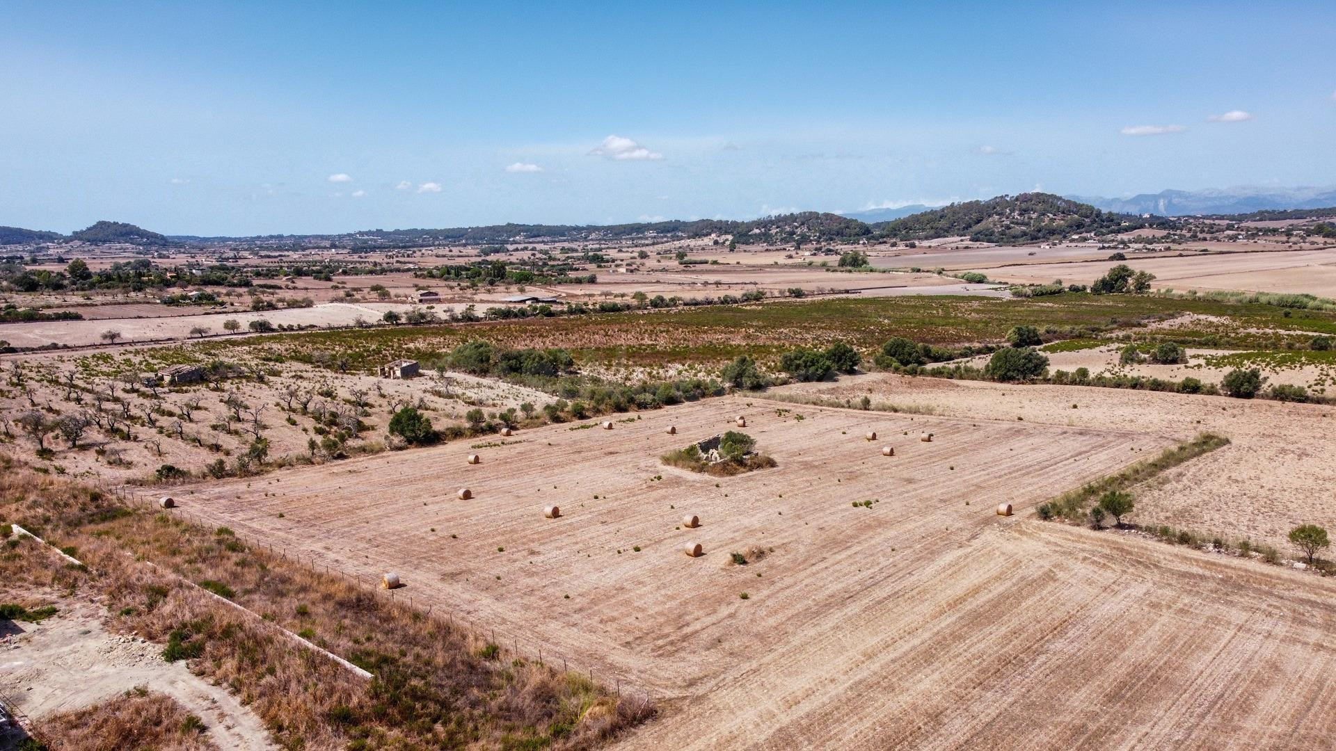 Terreno edificable entre Sineu y Petra