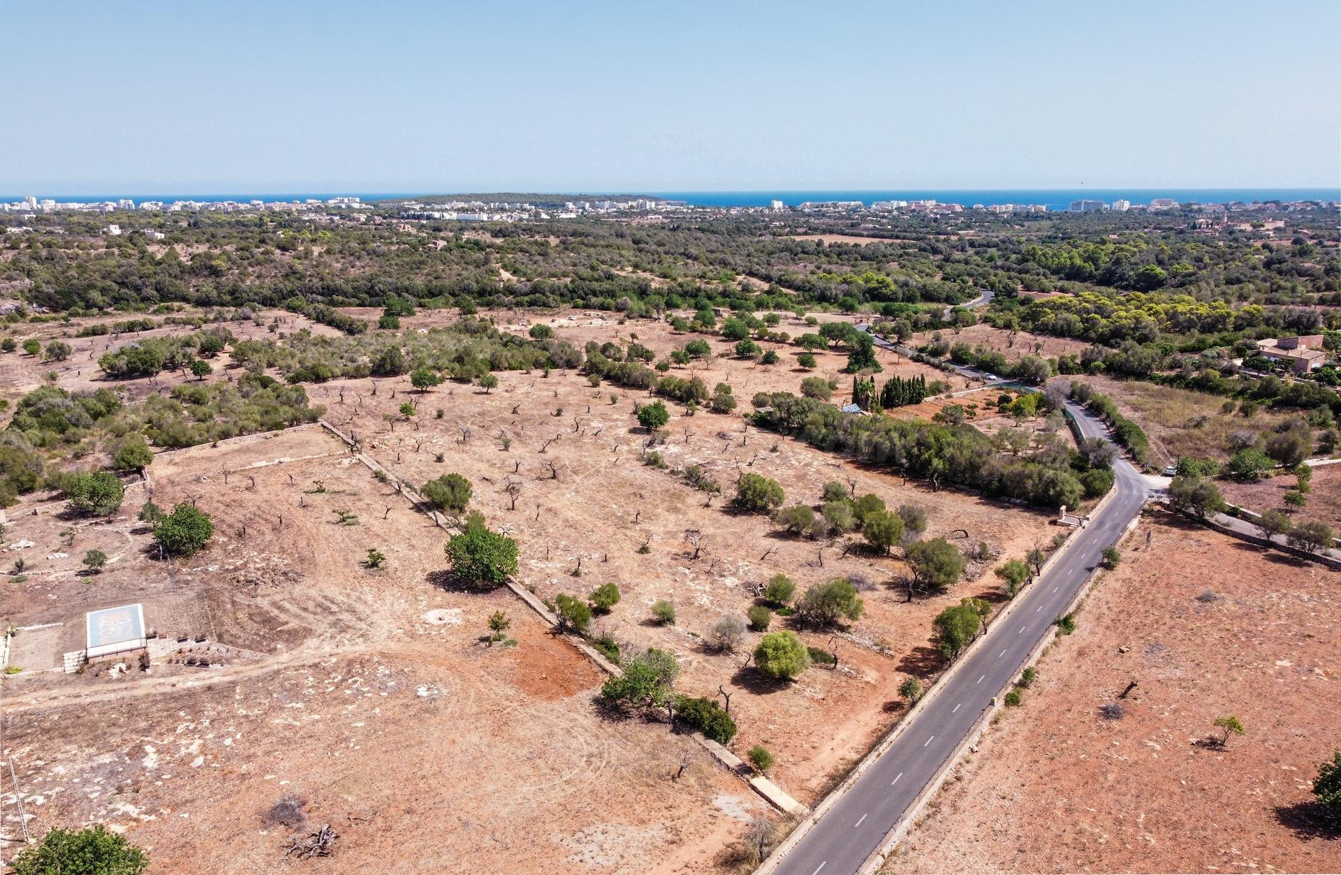 Finca rústica con proyecto de vivienda unifamiliar en Sa Gruta