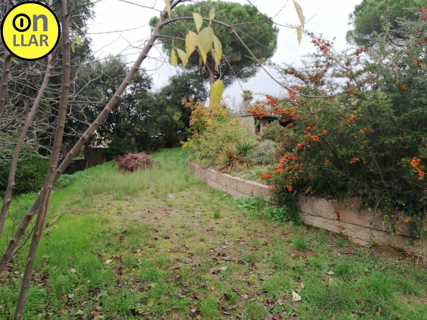 Solar urbano para 2 casas aisladas con posibilidad de segregar