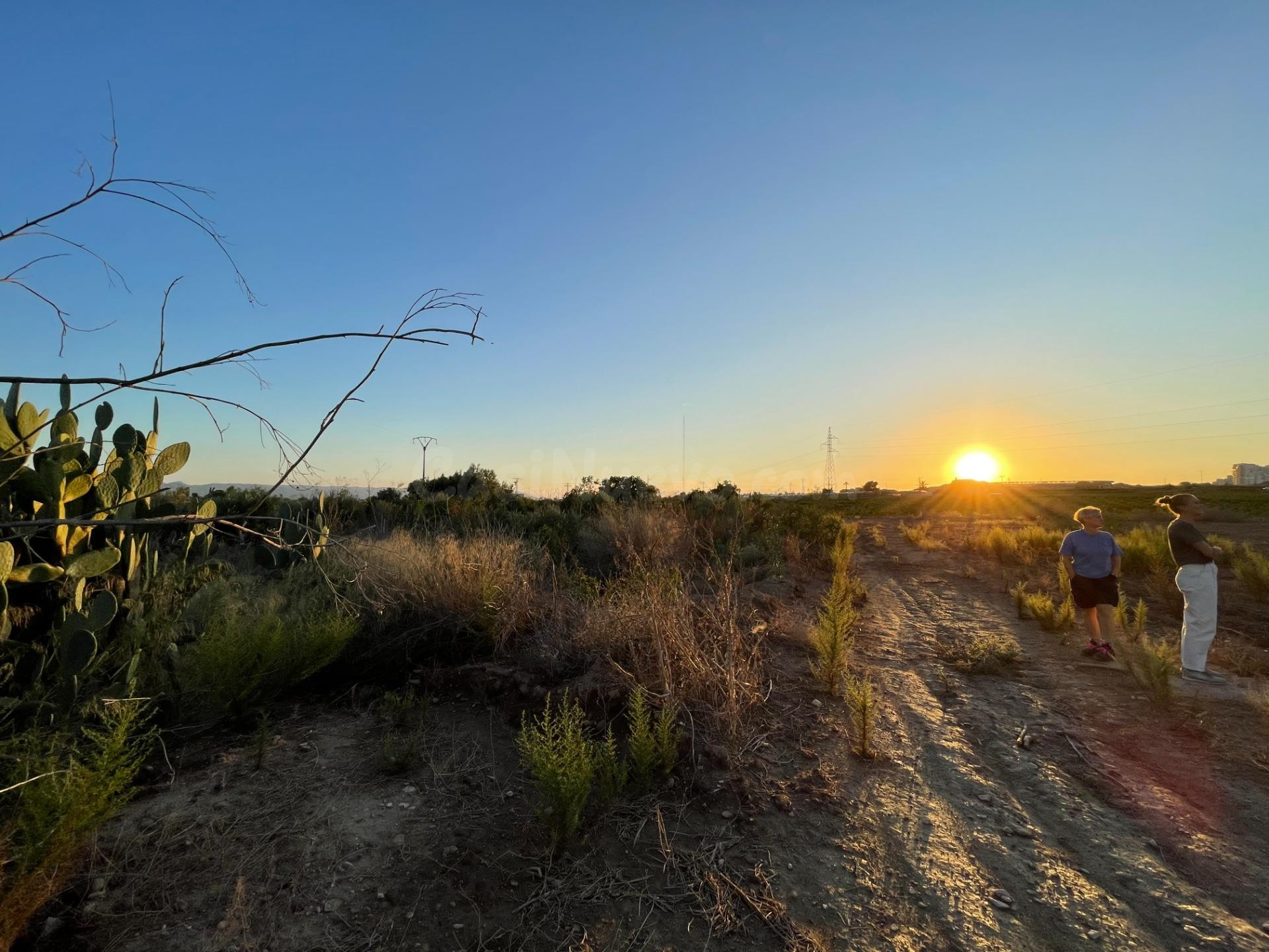 Terreno rural en venta - Cabezo de Torres