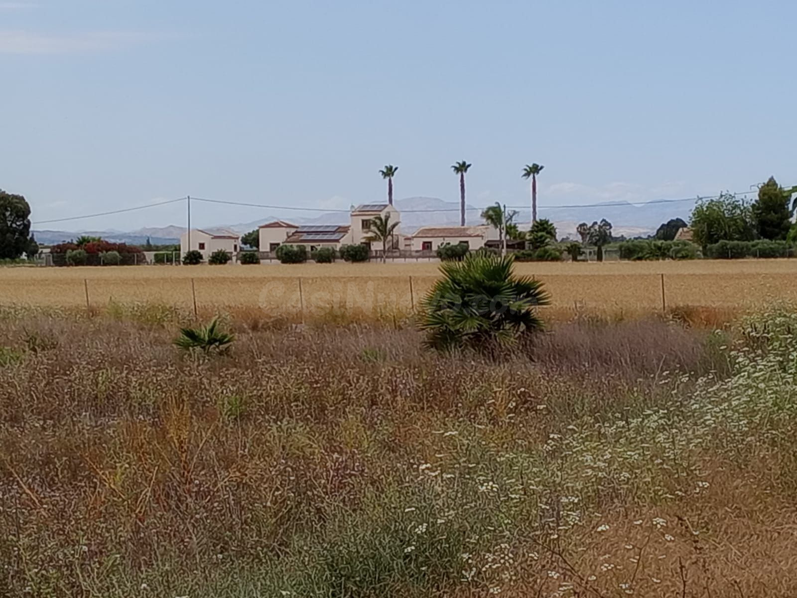 Parcela 11900m² en venta - Costa blanca sur