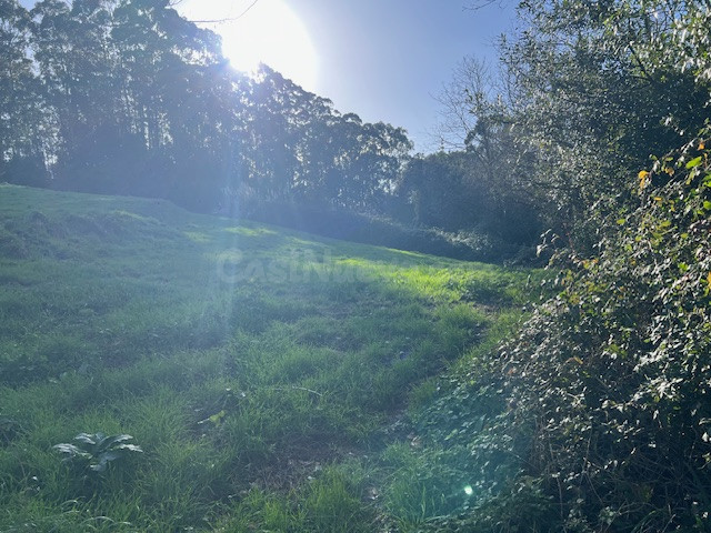 Finca rústica en venta - Revilla
