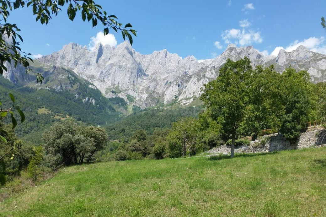 Finca rústica en venta - Picos de europa