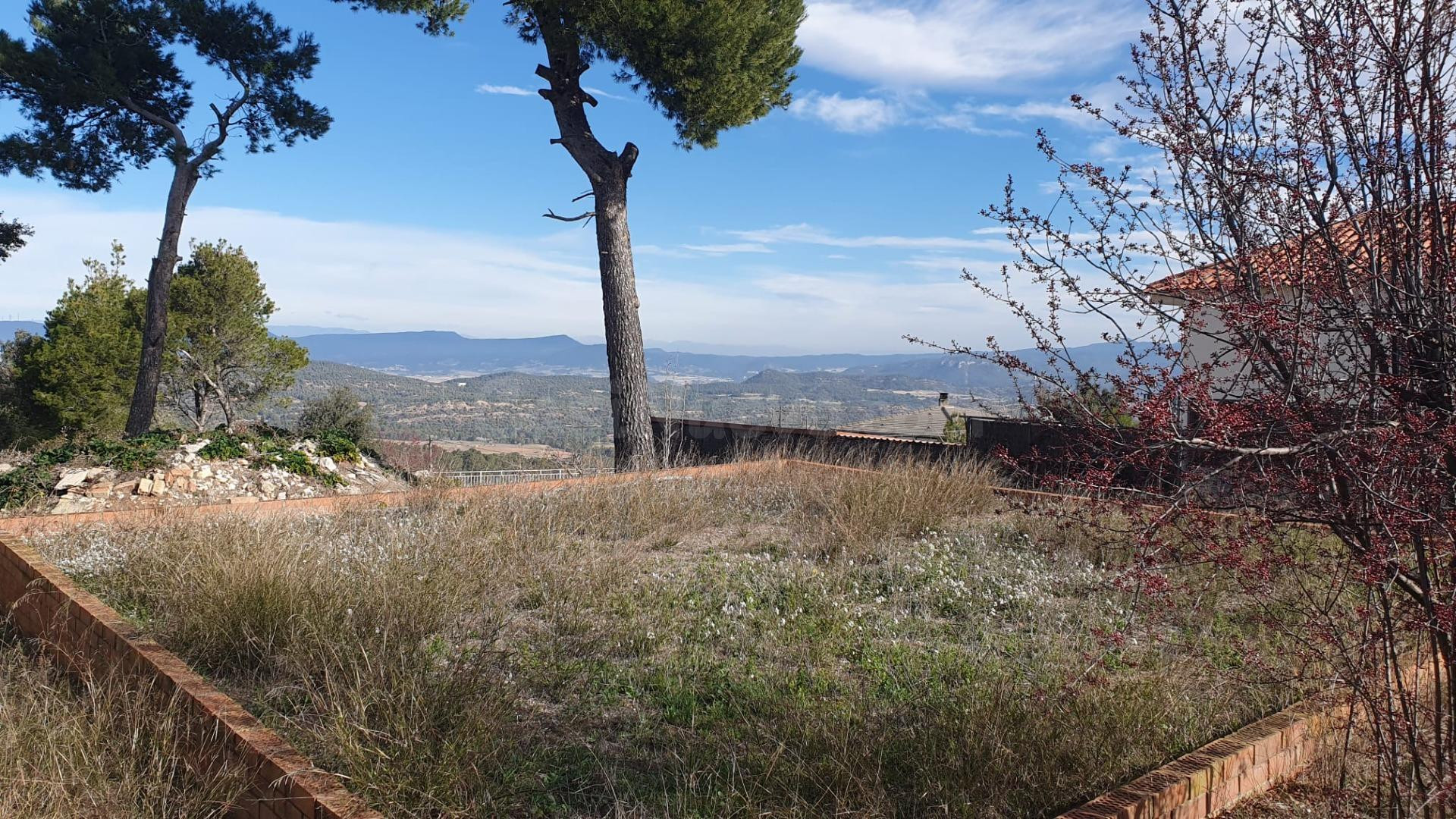 Terreno urbano en venta - Carme