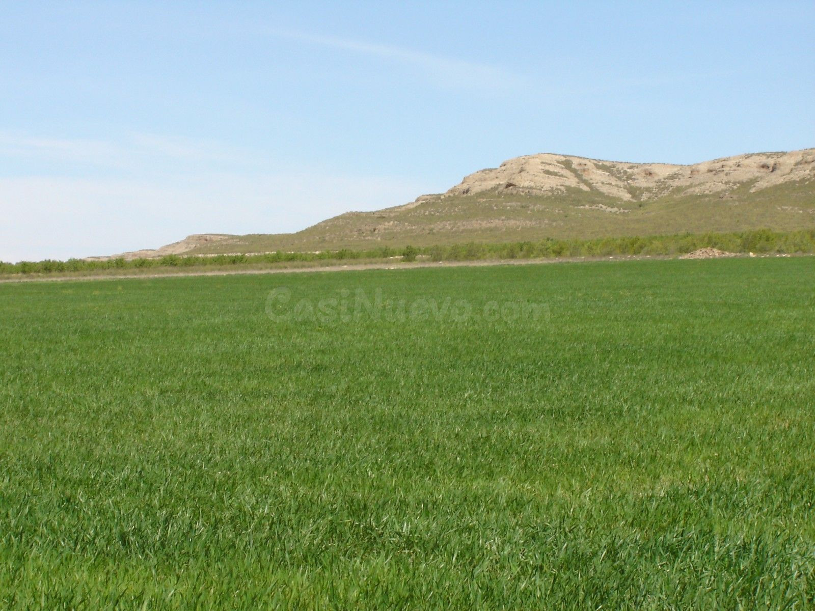 Parcela en venta - Ayuntamiento