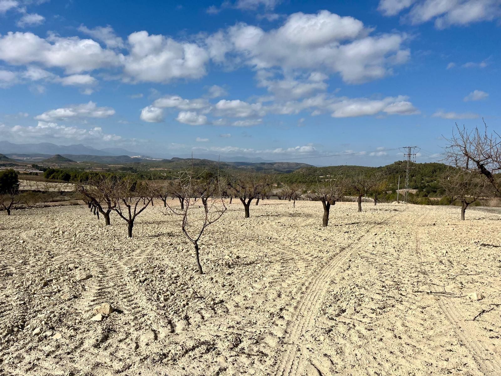Parcela 71641m² en venta - Bullas